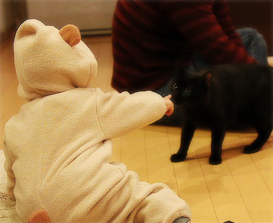 赤ちゃんと猫_a0389088_17341604.jpg