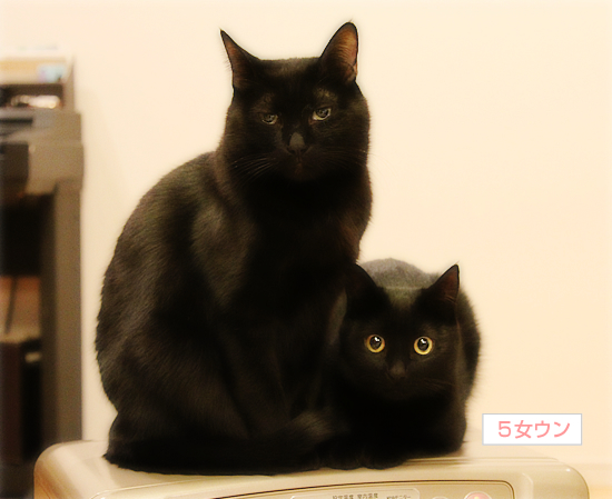 愛をつなぐ_a0389088_17343202.jpg