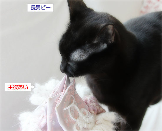 3月13日_a0389088_17343208.jpg