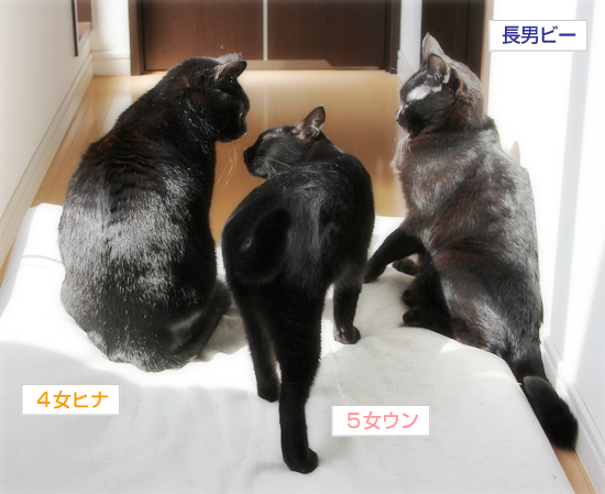 今時の若者は世渡り上手?_a0389088_17343747.jpg