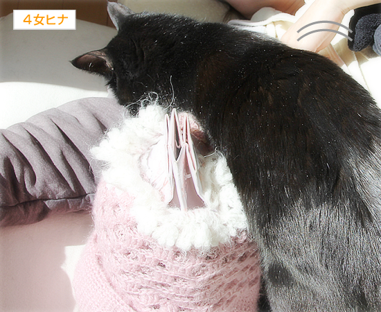 家族でひなたぼっこ_a0389088_17345080.jpg