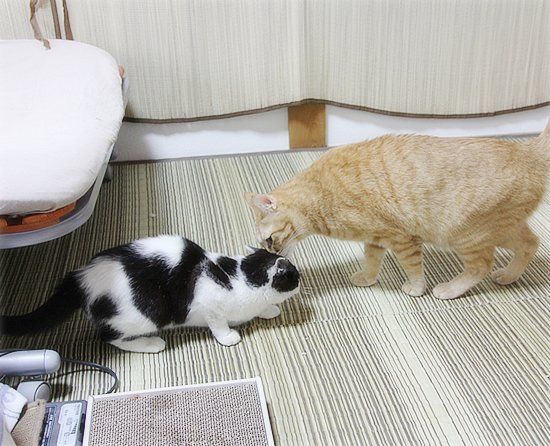 こころ、開いて…_a0389088_17350099.jpg