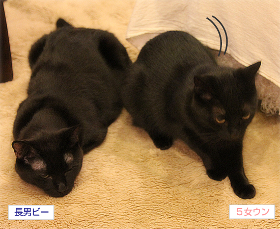そばにいたい_a0389088_17350887.jpg