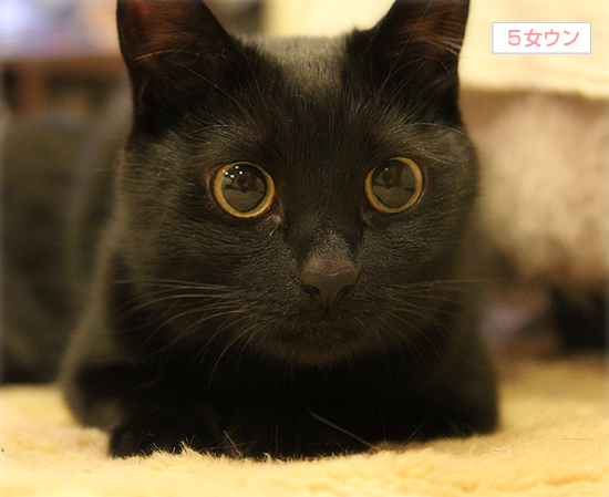 そばにいたい_a0389088_17350994.jpg