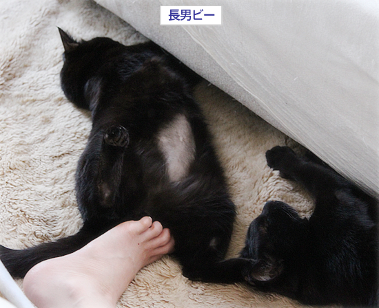 ガンと一緒に生きるということ_a0389088_17351491.jpg