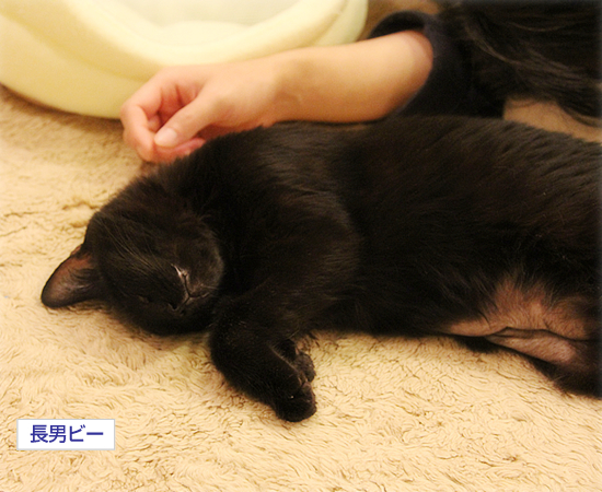 カウントダウン_a0389088_17351954.jpg