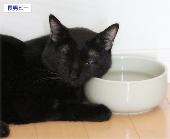 毎日、奇跡は起きている_a0389088_17351956.jpg