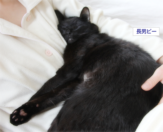 奇跡とともに…_a0389088_17352064.jpg