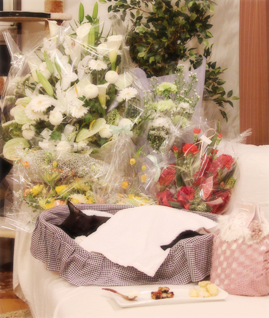 パーティー_a0389088_17352212.jpg
