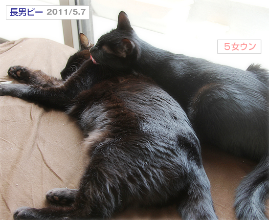 ここにいるよ_a0389088_17352401.jpg