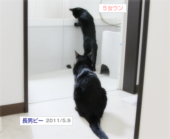 ここにいるよ_a0389088_17352435.jpg