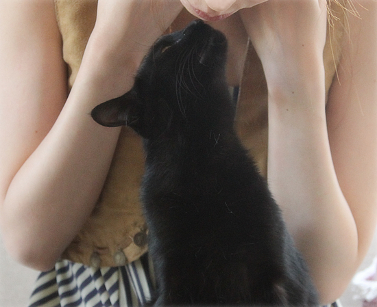 猫と人でも_a0389088_17352803.jpg