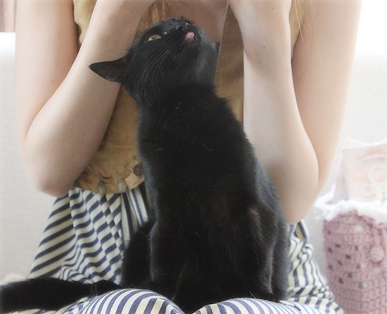 猫と人でも_a0389088_17352848.jpg
