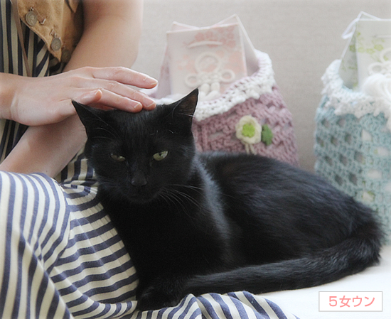 猫と人でも_a0389088_17352898.jpg