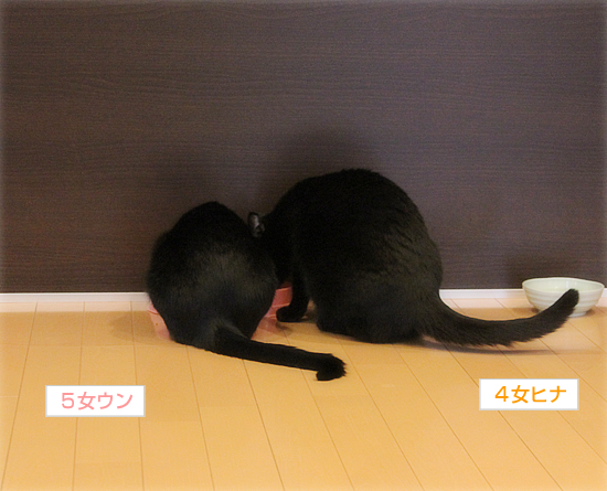 「グリーフワーク」大切な存在をなくすということ_a0389088_17353618.jpg
