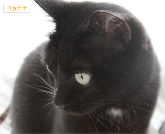 そうして、かけがえのない存在になっていく_a0389088_17353806.jpg