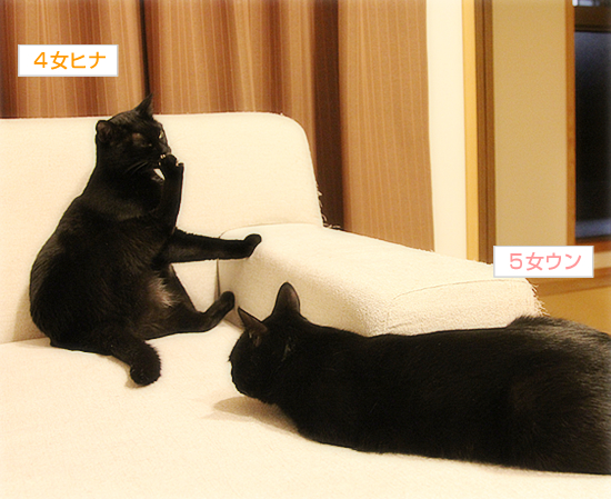 あの日、今、そして、これから_a0389088_17354781.jpg