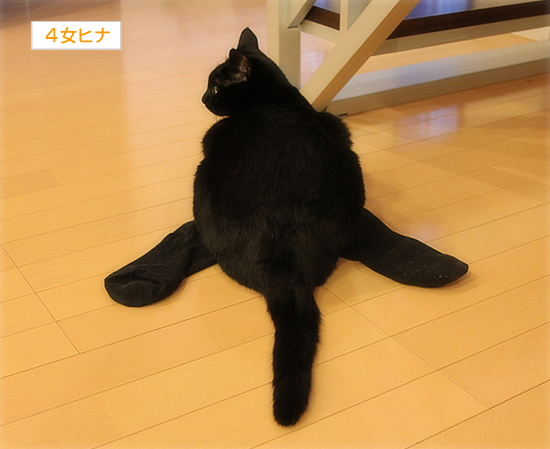 翼を授ける_a0389088_17354803.jpg