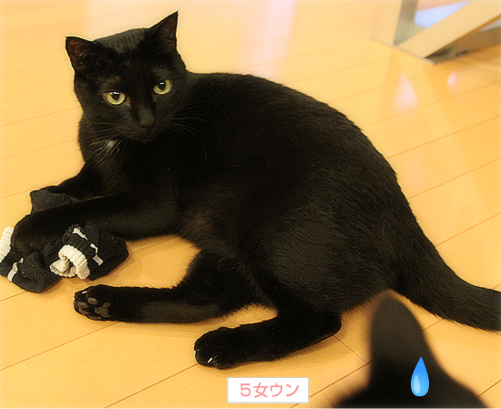 翼を授ける_a0389088_17354824.jpg