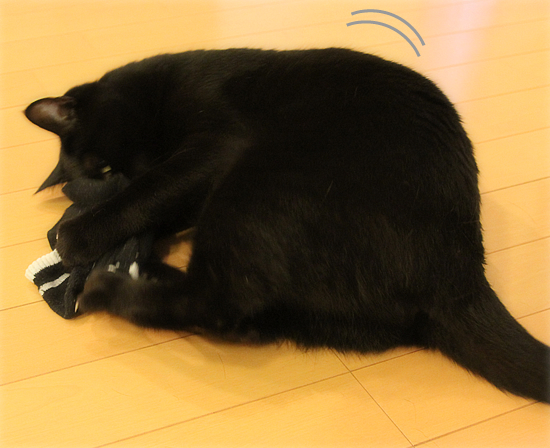 翼を授ける_a0389088_17354838.jpg