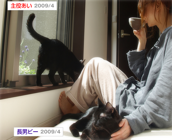 心のスパイス(NHK「ハートをつなごう」出演情報)_a0389088_17355492.jpg