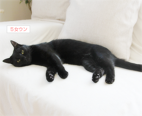 はじめての夏_a0389088_17355697.jpg