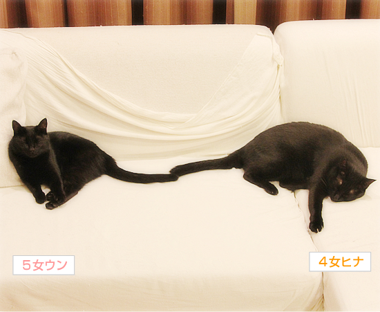 キミがいる_a0389088_17355707.jpg