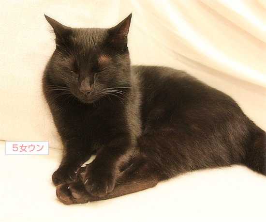 キミがいる_a0389088_17355775.jpg