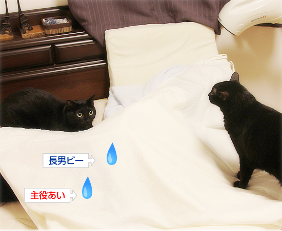 天国でもシーツにくるまれて_a0389088_17355866.jpg
