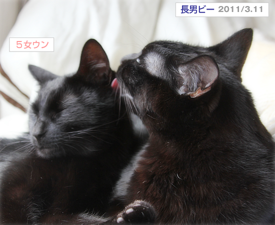 キミがしあわせだった日々_a0389088_17361202.jpg