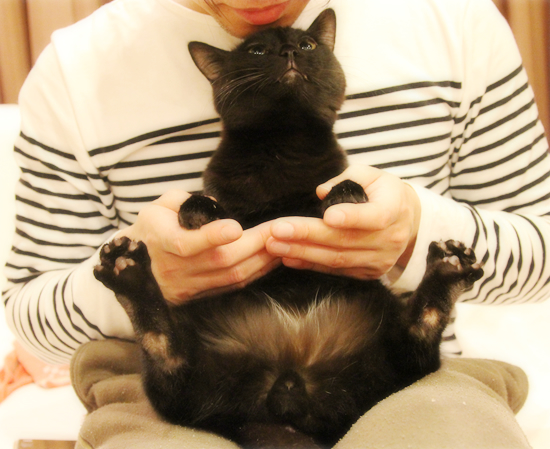 キミがしあわせだった日々_a0389088_17361335.jpg