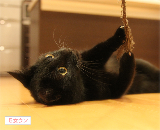 色気より_a0389088_17361393.jpg