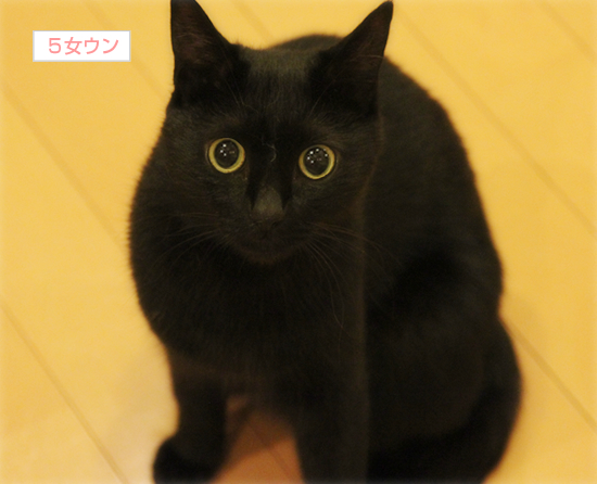 モムチャンダイエット_a0389088_17361657.jpg