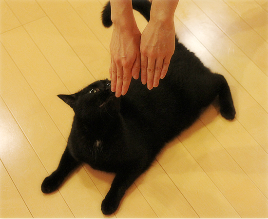 モムチャンダイエット_a0389088_17361791.jpg