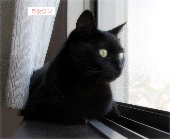 空へのコトバ_a0389088_17362163.jpg