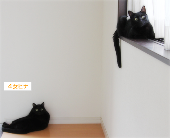 空へのコトバ_a0389088_17362293.jpg