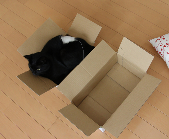 ちょっと小さめ_a0389088_17362330.jpg