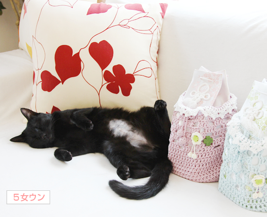 命のチカラ_a0389088_17363092.jpg