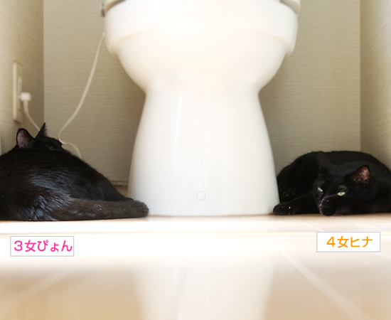 こんな場所で深まる絆_a0389088_17363330.jpg