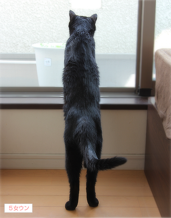 緑の家族♪_a0389088_17364914.jpg