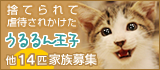 うれしいおしらせ_a0389088_17370220.jpg
