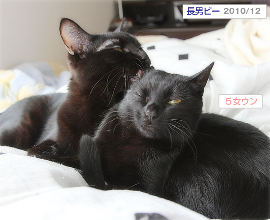 さみしくないね_a0389088_17370562.jpg