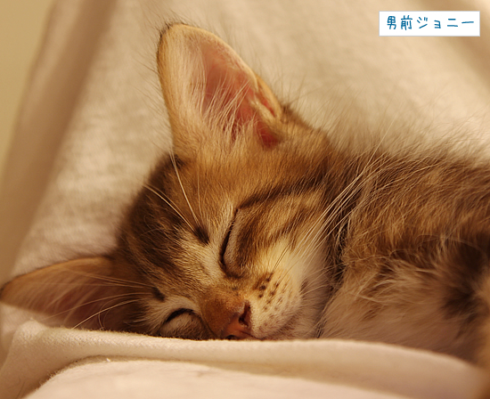 生きてくれてありがとう_a0389088_17370870.jpg