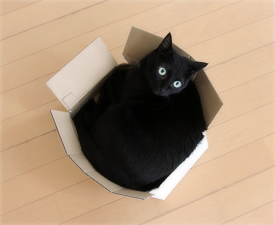 どこまで大事にできるのか_a0389088_17371123.jpg