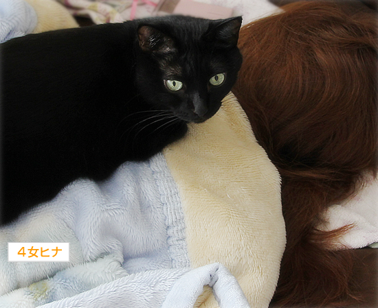 守る人_a0389088_17371205.jpg