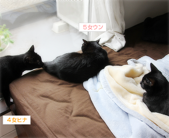 守る人_a0389088_17371230.jpg