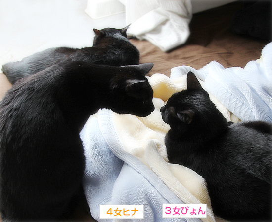 守る人_a0389088_17371287.jpg