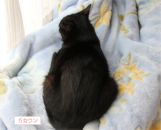 守る人_a0389088_17371299.jpg