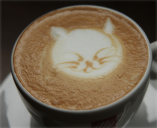 うれしいおしらせ_a0389088_17372096.jpg