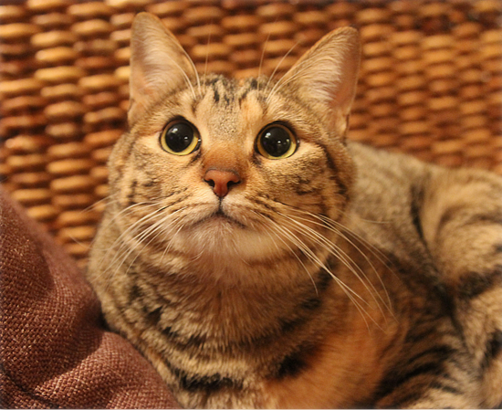 しあわせになったね_a0389088_17384988.jpg